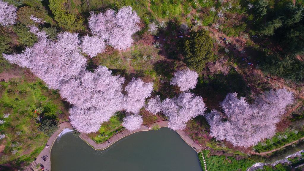 校园之夏