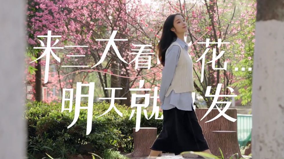来三大看桃花，明天就出发！