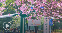 伟德bv1946官网校园风光